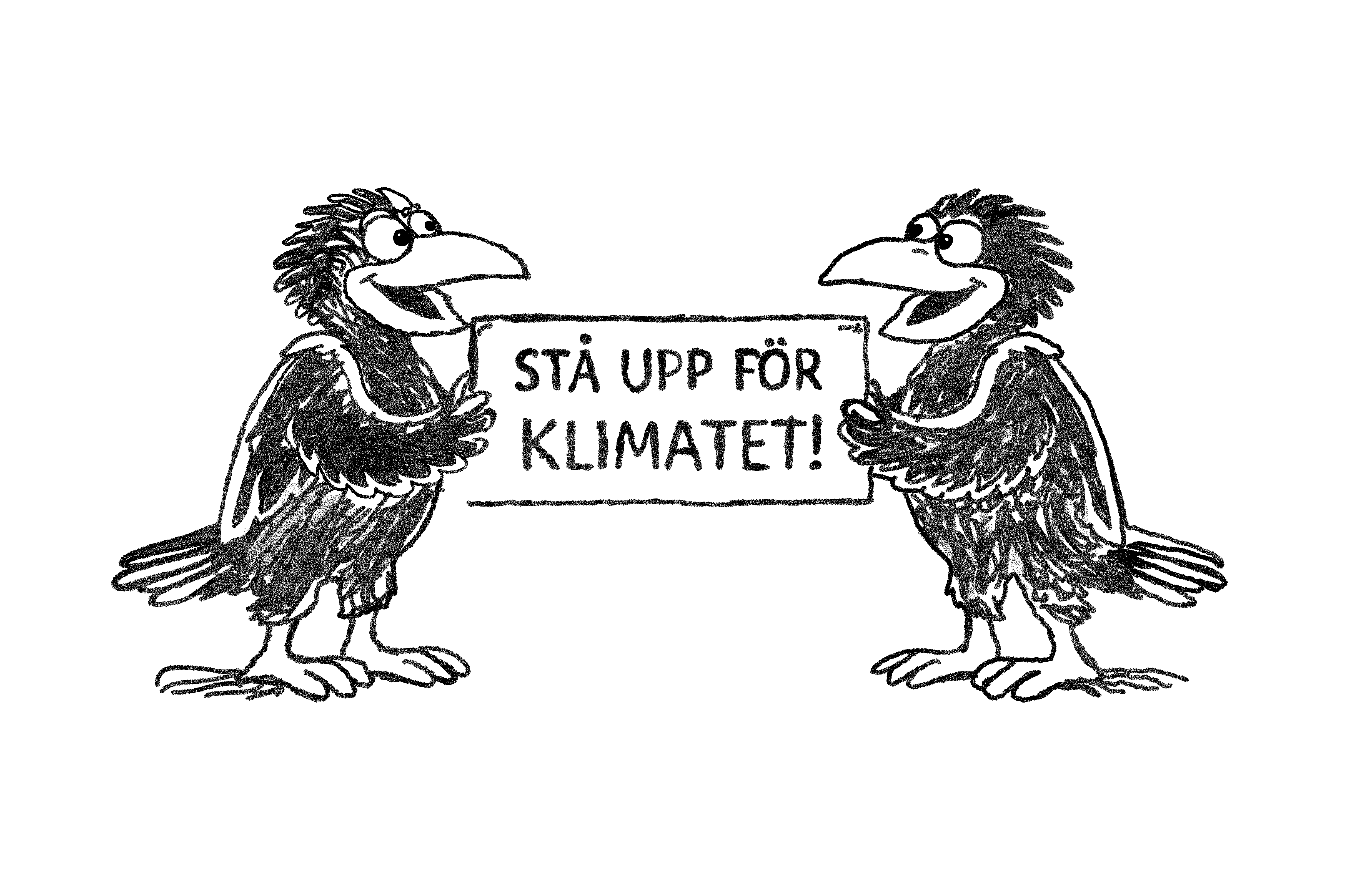 ”Behaviour - norm"