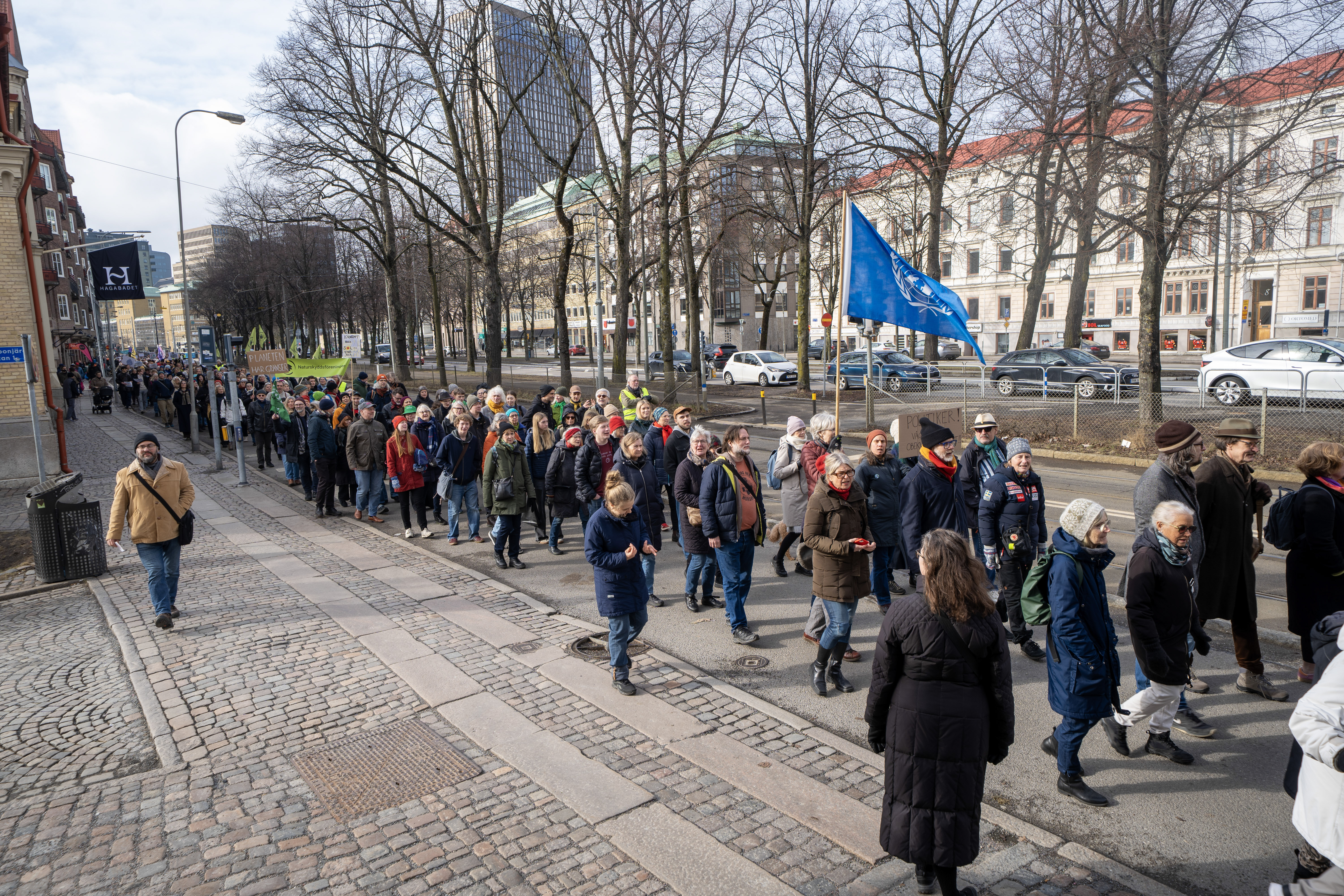 Södra Allégatan