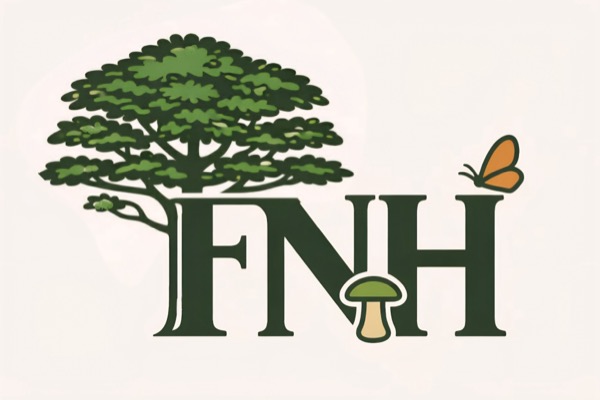 Föreningen Naturhänsyn